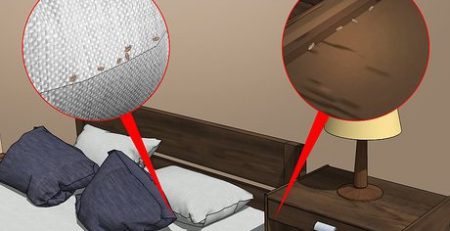 دفع ساس با ویکس سرکه سیر