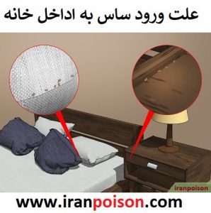 علت ورود ساس به داخل خانه