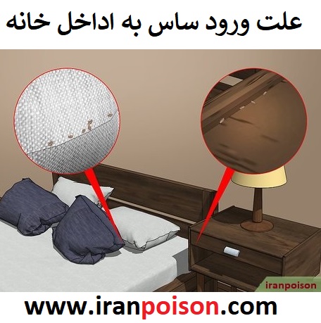 علت ورود ساس به داخل خانه