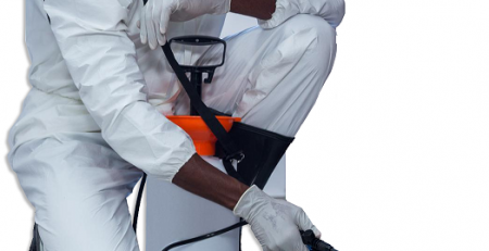 روش خلاص شدن از شر سوسک ها