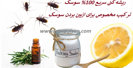ترکیب مخصوص برای از بین بردن سوسک