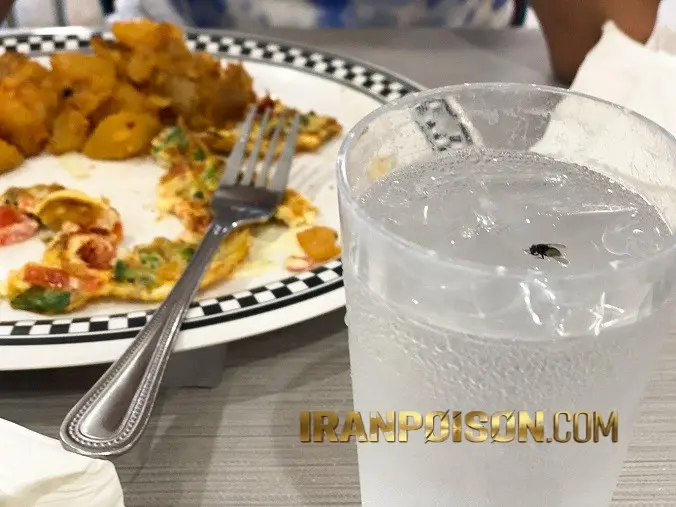 دفع مگس از رستوران