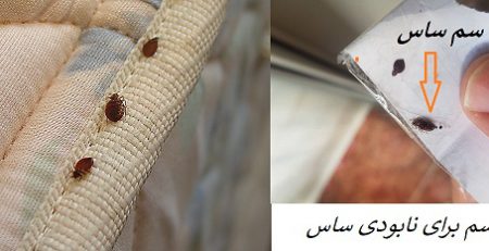 سم برای دفع کلی ساس ها