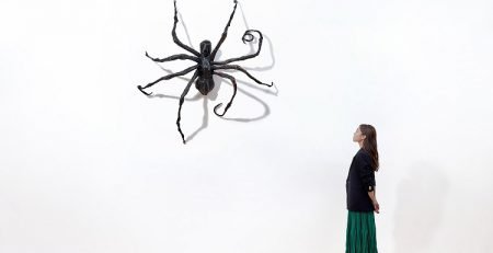 ایران سم ریشه کنی عنکبوت