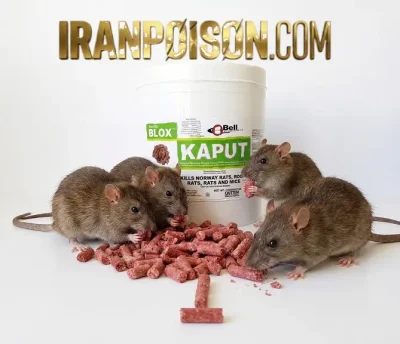 سم موش کاپوت