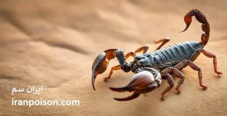 عقرب کش های المانی اصل