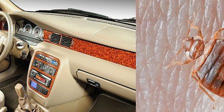 ساس در ماشین