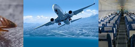 ساس د اخل هواپیما