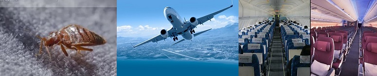 ساس د اخل هواپیما