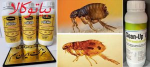 معرفی دو مدل سم خارجی و ارزان برای مبارزه با کک (سم پیرانا و سم کلین آپ)