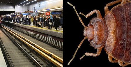 ساس در مترو