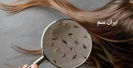 بررسی تخم شپش