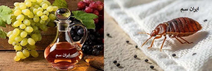 از بین بردن ساس با سرکه