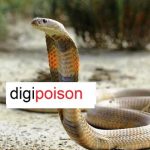 بدن انسان در برابر نیش مار چقدر مقاوم است؟