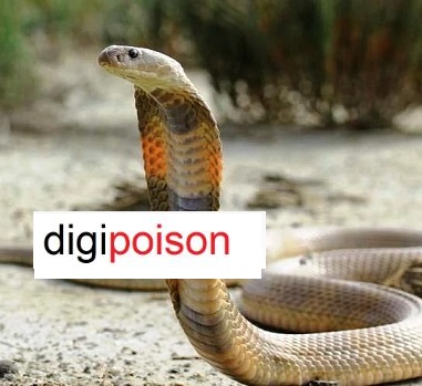 بدن انسان در برابر نیش مار چقدر مقاوم است؟