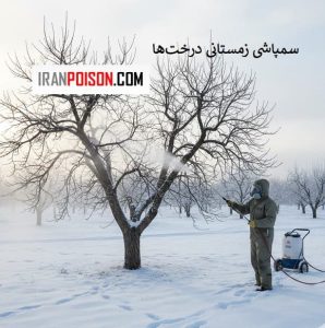 سمپاشی زمستانی درخت‌ها