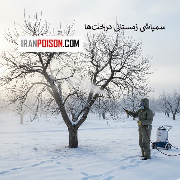 سمپاشی زمستانی درخت‌ها