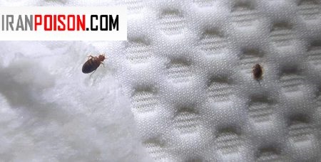 ساختمانهای مسافرخانه خراب و کهنه