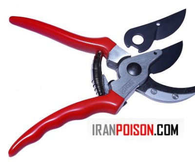 قیچی باغبانی حرفه‌ای با تیغه فولادی تیز مناسب هرس شاخه و گل