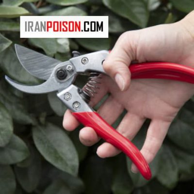 قیچی باغبانی حرفه‌ای با تیغه فولادی تیز مناسب