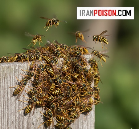 ساختار نیش زنبور وحشی