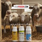 دفع کک از دامداری با سم خارجی