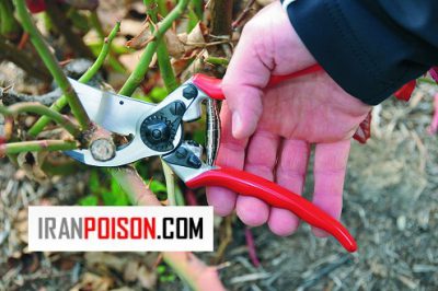 قیچی باغبانی فولادی حرفه‌ای مقاوم مناسب هرس درخت