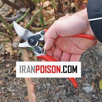 قیچی باغبانی فولادی حرفه‌ای مقاوم مناسب هرس