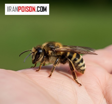 ترکیب شیمیایی زهر و اثرات آن