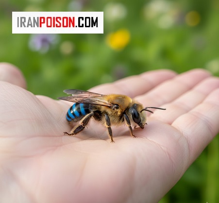 درمان سریع و علمی نیش زنبور زرد