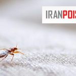 بررسی تعداد پاهای ساس و روش‌های تشخیص ساس نر و ماده