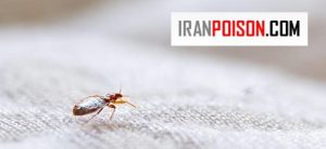 بررسی تعداد پاهای ساس و روش‌های تشخیص ساس نر و ماده