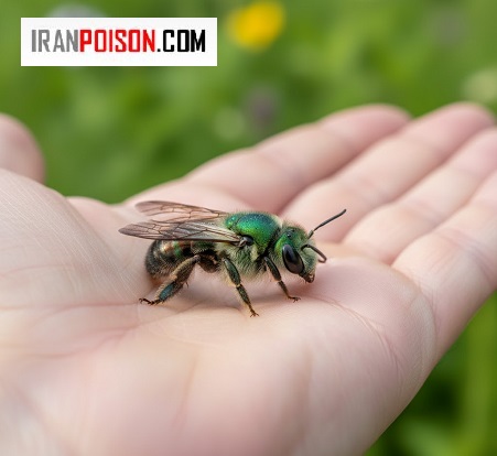 واکنش طبیعی بدن در التهاب نیش