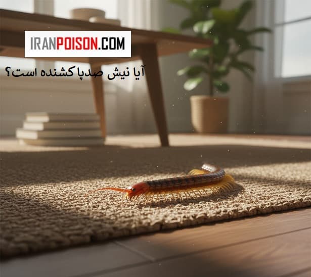 آیا نیش صدپا کشنده است؟