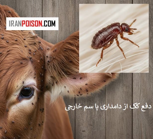 سم کک کش پیرانا چیست؟