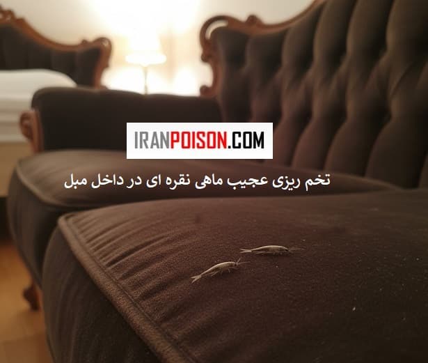 نکتههای جالب و عجیب درباره ماهی نقرهای