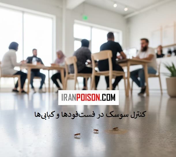 کنترل سوسک در فست‌فودها و کبابی‌ها
