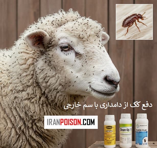 سم کک کش کلین آپ چگونه عمل میکند؟