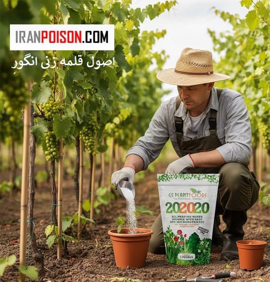 چرا قلمهزنی از کاشت بذر بهتر است؟