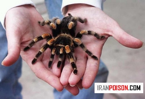 چه زمانی باید فوراً به اورژانس مراجعه کرد؟