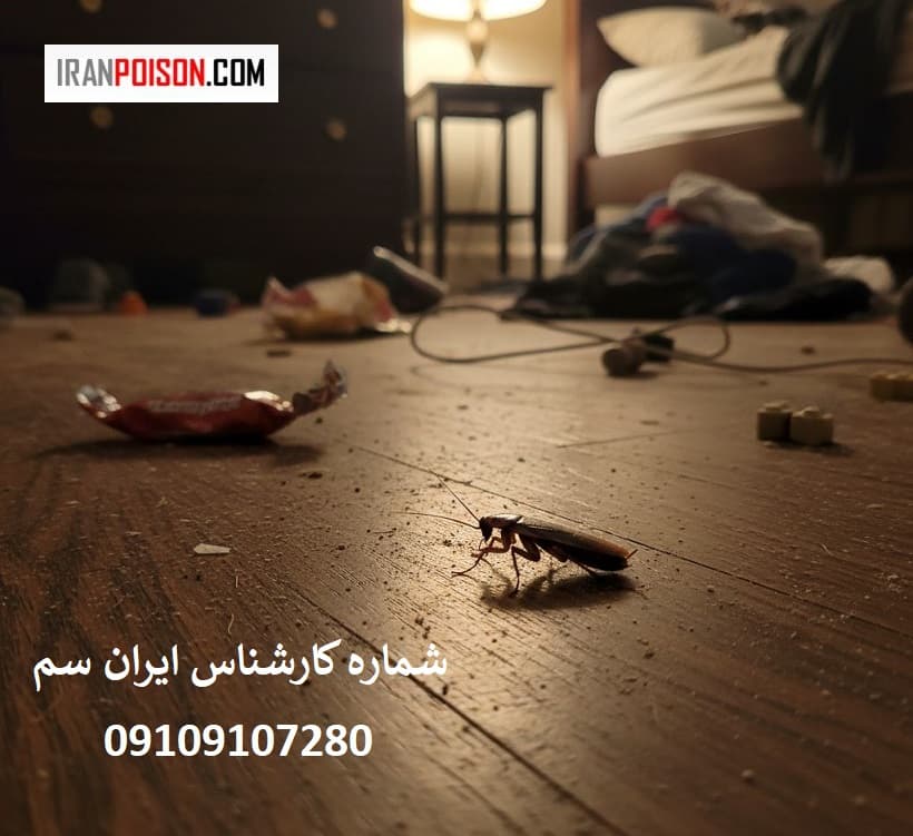 چگونه در سراسر جهان پخش شد؟