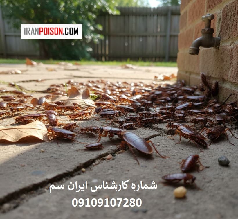 آیا با تغییرات اقلیمی بیشتر میشود؟