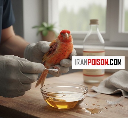 پیشگیری مهمتر از درمان در بید قناری