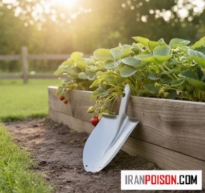 بیل باغبانی و کشاورزی