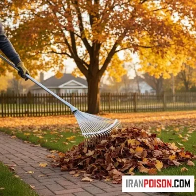 ویژگی‌ها برگ‌جمع‌کن استیل