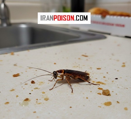 سم سوسک کش اصل بایر آلمان