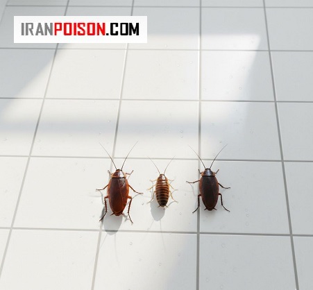 سوسریها یا همون سوسکهایِ حمام،