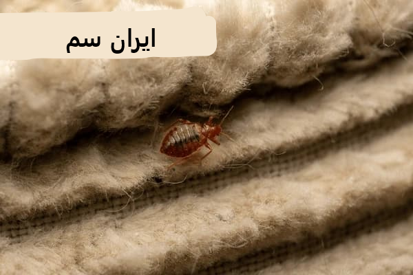 ریشه کنی ساس