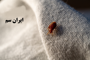 از بین بردن ساس در تشک ها و خانه 