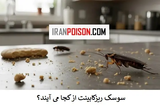 تشخیص سوسک کابینتی -ایران سم